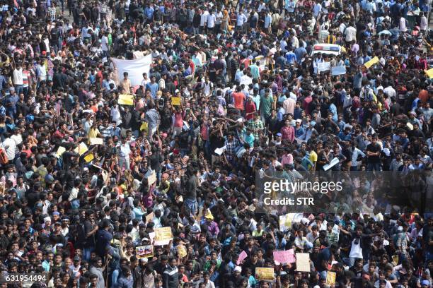 Indian protesters gather during a demonstration against the ban on the Jallikattu bull taming ritual at Marina Beach at Chennai on January 18 2017....