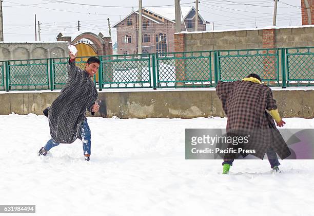 Children throwing snowballs to each other . Cold wave has gripped valley since past three weeks.