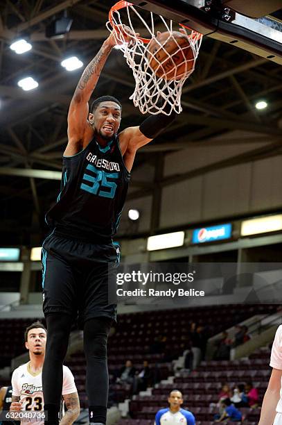 Christian Wood of the Greensboro Swarm goes to the basket against the Erie BayHawks as part of 2017 NBA D-League Showcase at the Hershey Centre on...