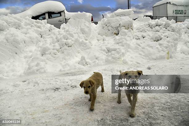 20 Montereale Abruzzo Photos & High Res Pictures Getty Images