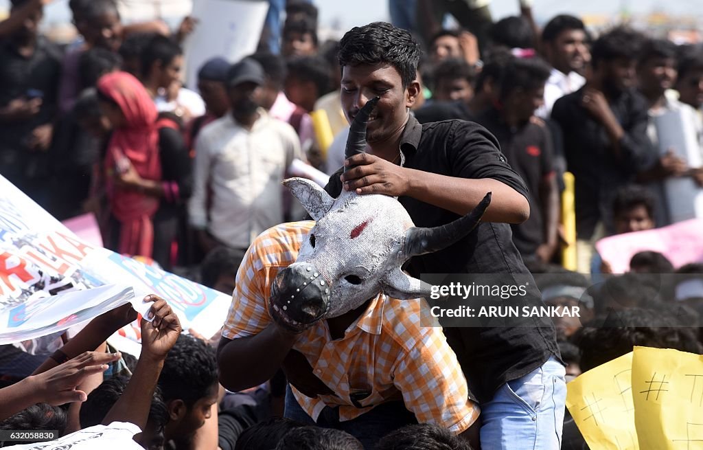 INDIA-ANIMAL-BULLFIGHTING