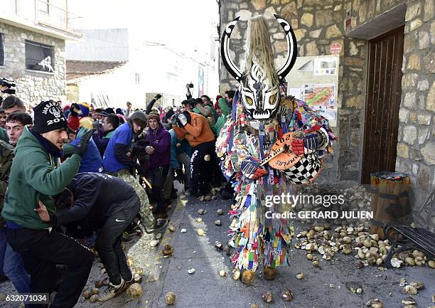 People throw turnips at a man representing the Jarrampla, sporting a costume covered in multicoloured ribbons and his face hidden behind a conical...