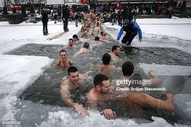 Believers swim trough the ice cold water of Ada Ciganlija lake during Epiphany celebrations on January 19, 2017 in Belgrade, Serbia. Orthodox Serbs...