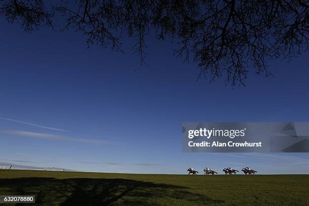 General view as runners race down the back straight at Wincanton Racecourse on January 19, 2017 in Wincanton, England.