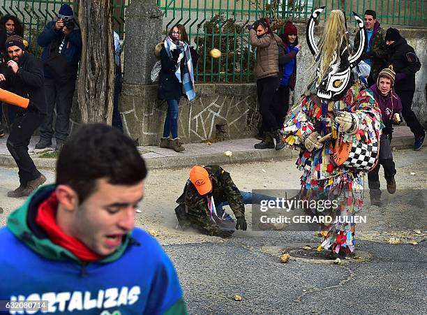 People throw turnips at a man representing the Jarrampla, beating his drum and sporting a costume covered in multicoloured ribbons and his face...