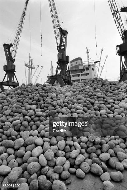 Les galets de la côte normande sont chargés dans un cargo au port du Havre, le 06 février 1973, pour être exportés aux Etats-Unis ou au Japon où ils...