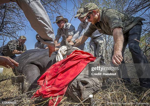 This handout image released by Kensington Palace on January 19 shows Prince Harry who is the new Patron of Rhino Conservation Botswana, following his...