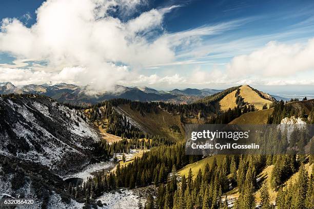 outlook from risserkogel summit over the bavarian alps - schnee berge stockfoto's en -beelden