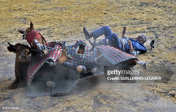 Colombian picador Cayetano Romero is thrown from his horse by a bull during a bullfighting training session at the Mondoñedo's fighting bulls ranch...