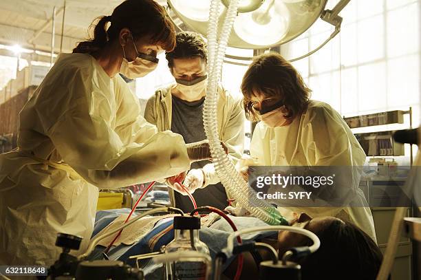 1 172点の女優 アリソン ミラーのストックフォト Getty Images 1 172点の女優 アリソン ミラーのストックフォト Getty Images