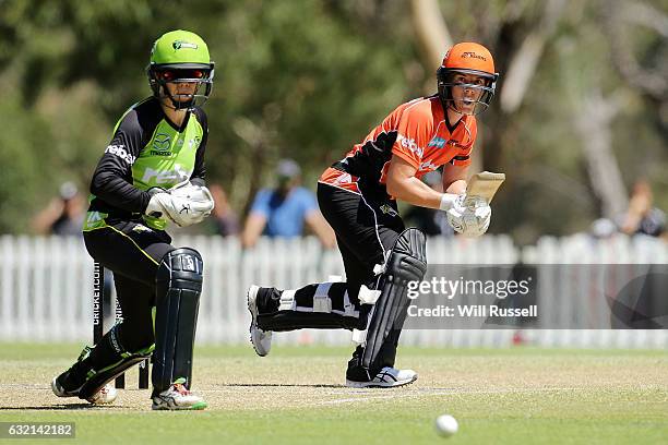 Elyse Villani of the Scorchers plays a reverse sweep shot during the Women's Big Bash League match between the Perth Scorcher and the Sydney Thunder...