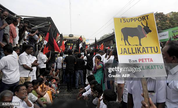 Members of Dravida Munnetra Kazhagham stop a train during a demonstration against the ban on the Jallikattu bull taming ritual and call for a ban on...