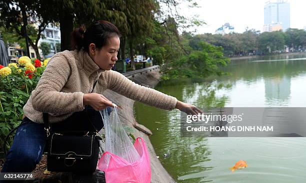 Woman releases red carps at a lake in downtown Hanoi on January 20, 2017 as Vietnamese celebrate the Kitchen Gods' Day, a week before the Lunar New...