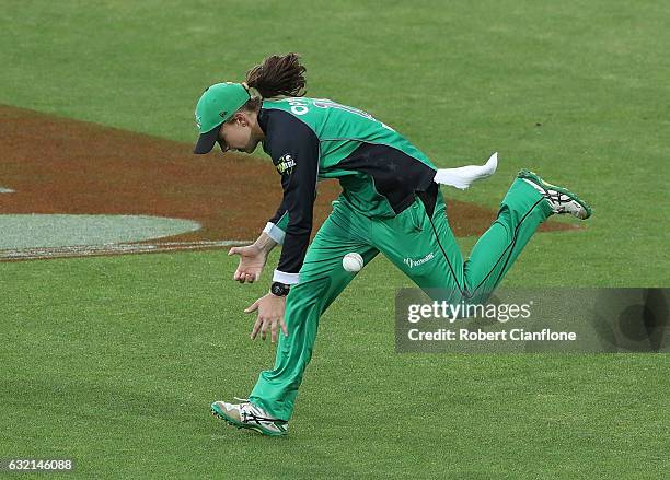 Makinley Blows of the Melbourne Stars drops a catch during the Women's Big Bash League match between the Melbourne Stars and the Hobart Hurricanes at...