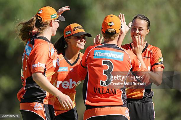 Elyse Villani of the Scorchers celebrates after taking a catch off Naomi Stalenberg of the Thunder during the Women's Big Bash League match between...