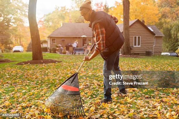 mid adult man raking in autumn leaves garden - rechen stock-fotos und bilder