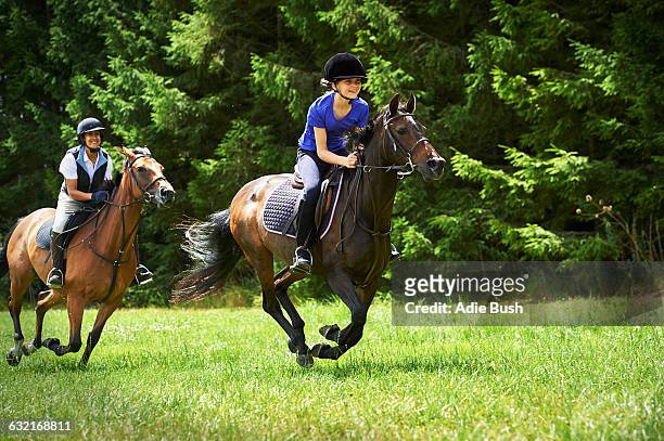 mature woman and girl galloping on horse - zügel stock-fotos und bilder