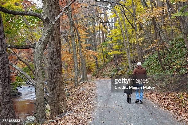 grandfather and granddaughter walking in forest - granddaughter stock pictures, royalty-free photos & images