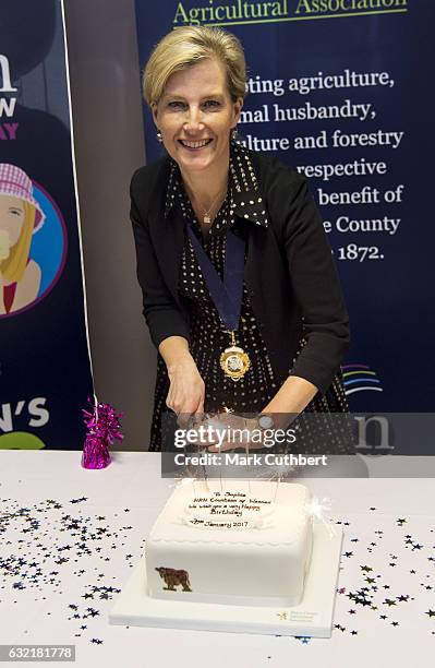 Sophie, Countess of Wessex on the occasion of her 52nd birthday attends The Devon County Agricultural Association's AGM as President at Westpoint on...