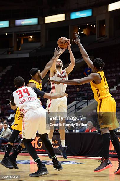Abdel Nader of the Maine Red Claws shoots the ball against the Canton Charge as part of 2017 NBA D-League Showcase at the Hershey Centre on January...