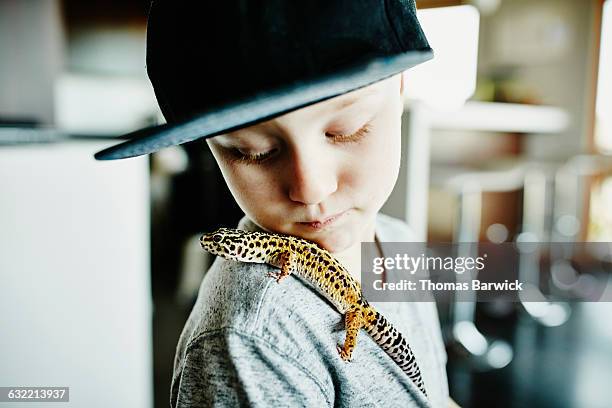 young boy looking at pet gecko resting on shoulder - lizard stock-fotos und bilder