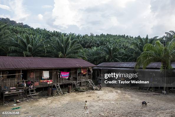 Land grabbing for Palm Oil in Myanmar