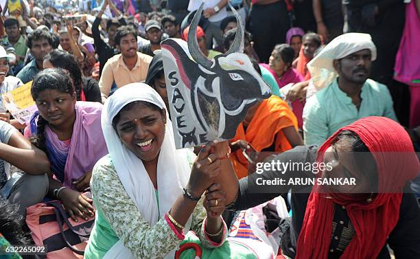 Indian students hold placards during a demonstration against the ban on the Jallikattu bull taming ritual and call for a ban on animal rights...