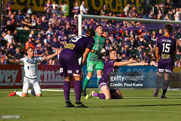 Shane Lowry of the Glory pleads with Referee Peter Green after bringing taking down James Troisi of the Victory in a tackle during the round 16...