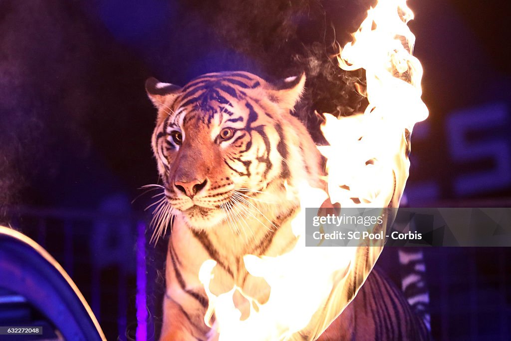 41th International Circus Festival : Day Two In Monaco