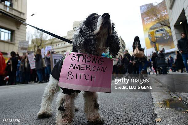 Dog sports a sign during a march in central Barcelona on January 21, 2017 in a mark of solidarity for the political rally promoting the rights and...