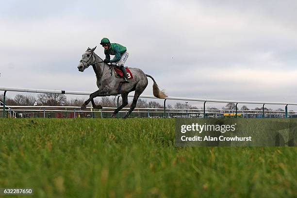 Daryl Jacob riding Bristol De Mai comfortably win The Peter Marsh Handicap Steeple Chase at Haydock Racecourse on January 21, 2017 in Haydock,...