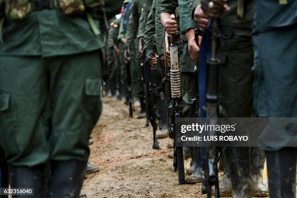 Members of the Revolutionary Armed Forces of Colombia guerrillas are seen at the "Alfonso Artiaga" Front 29 FARC encampment in a rural area of...