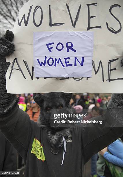 Marcher attending the Women's March on Washington wears a wolf's mask as he hold up a sign in support of women's rights on January 21, 2017 in...