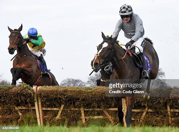 Dublin , Ireland - 22 January 2017; Eventual winner Justmemyselfandi, left, with Brian O'Connell up, jumps the last behind eventual third placed...