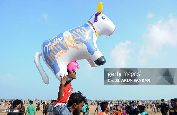 Indian father carries his son on his shoulders as he holds a blow-up cow doll during a demonstration against the ban on the Jallikattu bull taming...