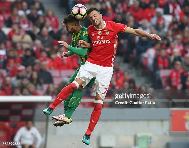 BenficaÕs midfielder from Greece Andreas Samaris with Tondela's forward Miguel Cardoso from Portugal in action during the Primeira Liga match between...