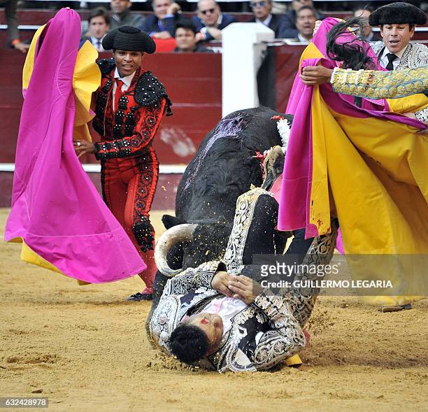 Colombian banderillero is hit by a bull during a bullfight at the Santamaria bullring in downtown Bogota, Colombia, on January 22, 2017. The historic...