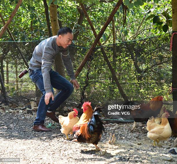 People take part in a chicken catching contest on January 22, 2017 in Guangzhou, Guangdong Province of China. The cock and hens beauty contest in...