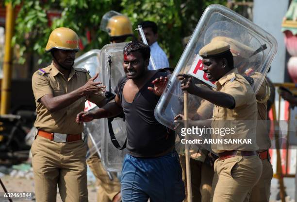 Indian policemen detain an injured protester at a demonstration against the ban on the Jallikattu bull taming ritual in Chennai on January 23, 2017....