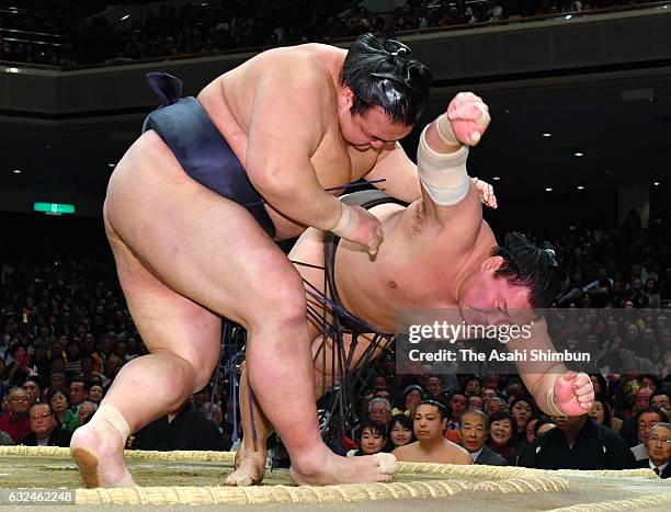 Ozeki Kisenosato throws Mongolian yokozuna Hakuho to win during day fifteen of the Grand Sumo New Year Tournament at Ryogoku Kokugikan on January 22,...