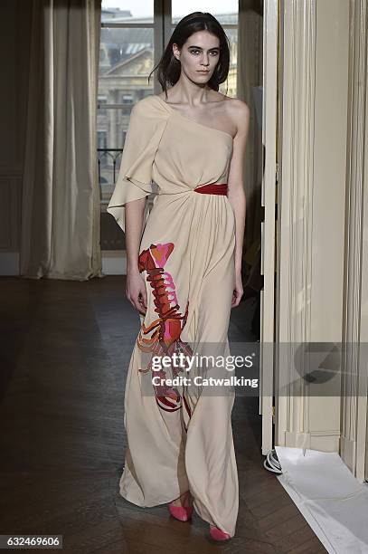 Model walks the runway at the Schiaparelli Spring Summer 2017 fashion show during Paris Haute Couture Fashion Week on January 23, 2017 in Paris,...