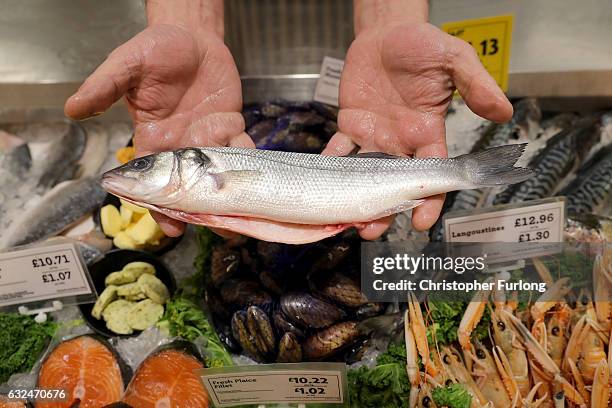 Fishmonger displays a sea bass inside a Morrisons supermarket on January 23, 2017 in Rochdale, England. Wm Morrison Supermarkets Plc has over 500...