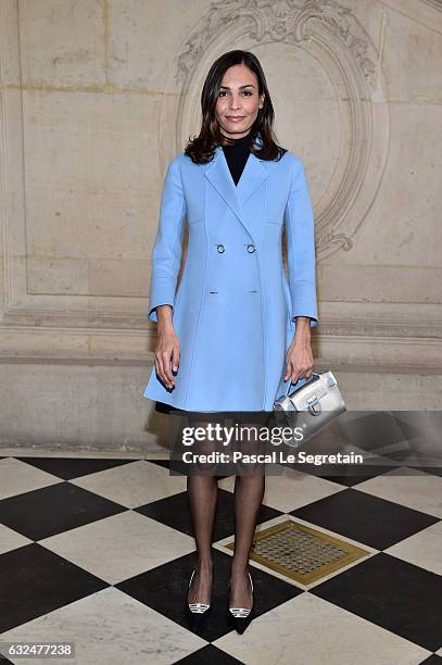 Ines Sastre attends the Christian Dior Haute Couture Spring Summer 2017 show as part of Paris Fashion Week on January 23, 2017 in Paris, France.