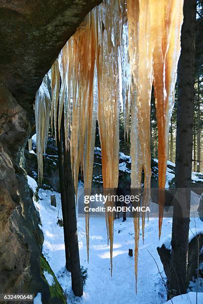 Icefalls are pictured near the village of Pulcin, Czech republic, on January 23, 2017. Icefalls near Pulèín in Wallachia are famous for their colors....