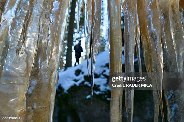 Icefalls are pictured near the village of Pulcin, Czech republic, on January 23, 2017. Icefalls near Pulèín in Wallachia are famous for their colors....