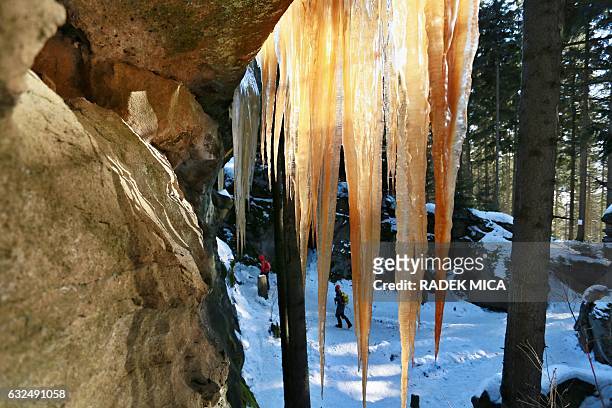 Icefalls are pictured near the village of Pulcin, Czech republic, on January 23, 2017. Icefalls near Pulèín in Wallachia are famous for their colors....