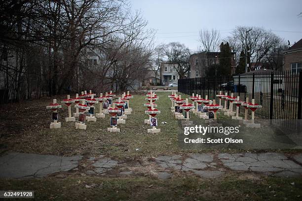 Forty-three crosses sit in a vacant lot in the Englewood neighborhood on January 23, 2017 in Chicago, Illinois. Each cross, created by Greg Zanis,...