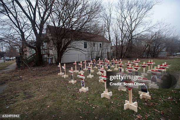 Forty-three crosses sit in a vacant lot in the Englewood neighborhood on January 23, 2017 in Chicago, Illinois. Each cross, created by Greg Zanis,...