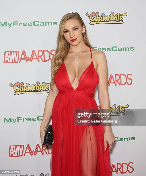 Adult film actress Kendra Sunderland attends the 2017 Adult Video News Awards at the Hard Rock Hotel & Casino on January 21, 2017 in Las Vegas,...