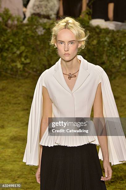 Model walks the runway at the Christian Dior Spring Summer 2017 fashion show during Paris Haute Couture Fashion Week on January 23, 2017 in Paris,...